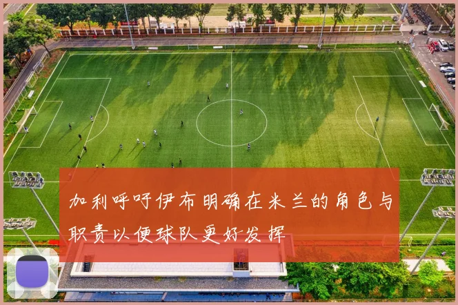 加利呼吁伊布明确在米兰的角色与职责以便球队更好发挥